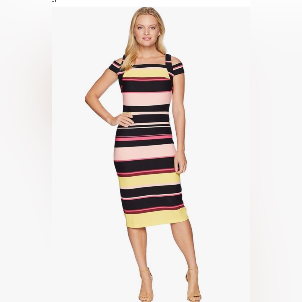 ECI Multicolor Striped Midi Dress